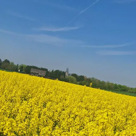 Apartmán Parva Domus