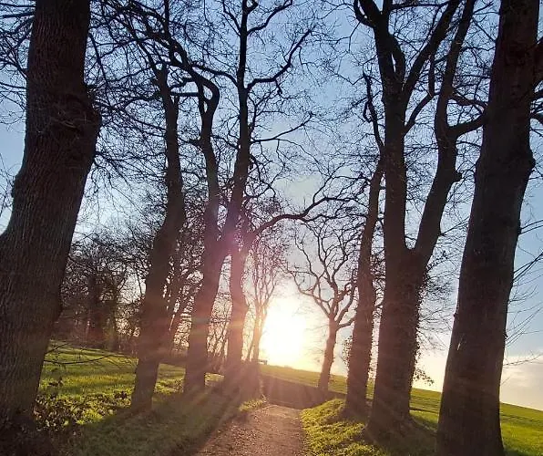 Parva Domus إكسانتن