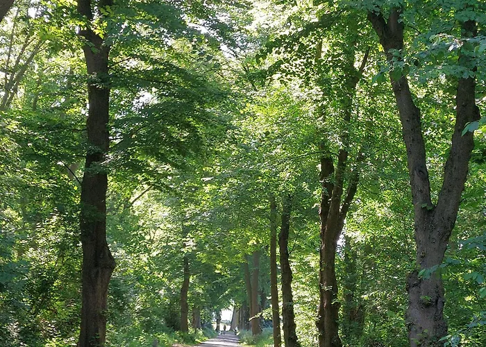 Parva Domus 克桑滕